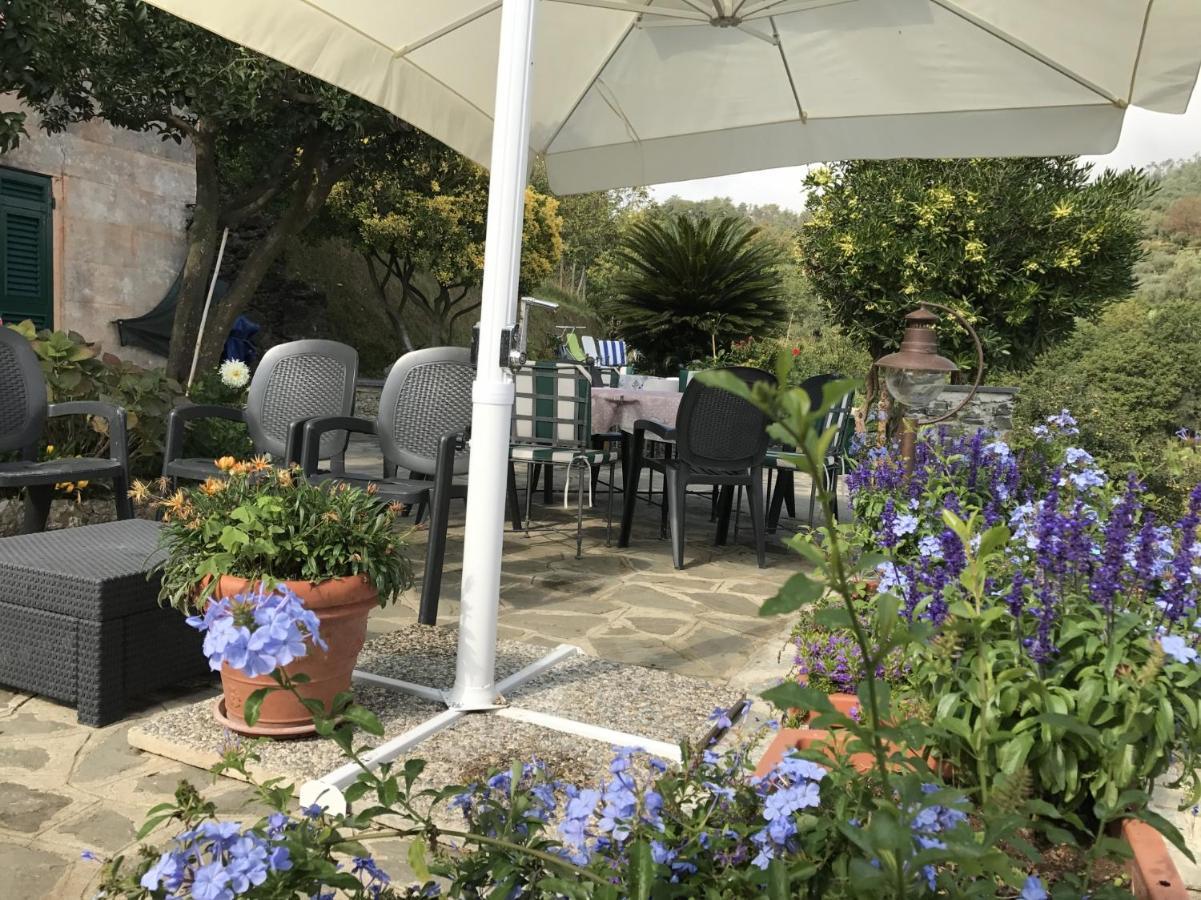 Agriturismo Terre Rosse Portofino Exterior foto
