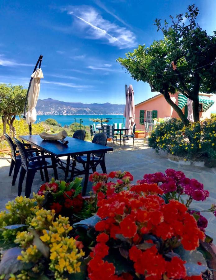 Agriturismo Terre Rosse Portofino Exterior foto
