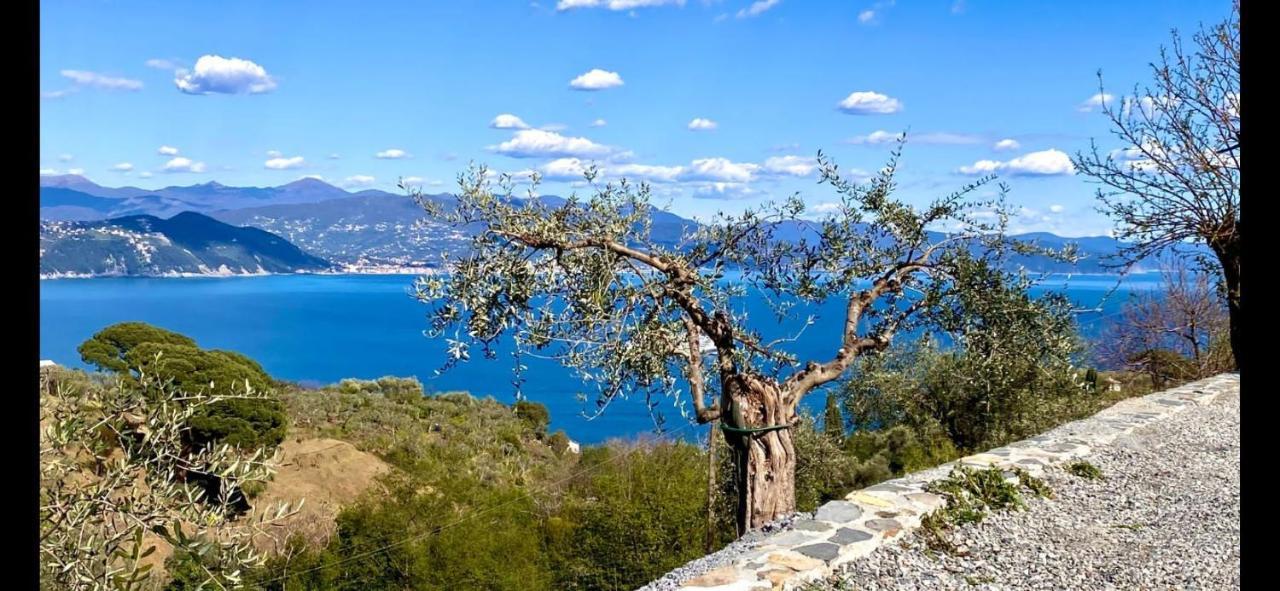Agriturismo Terre Rosse Portofino Exterior foto
