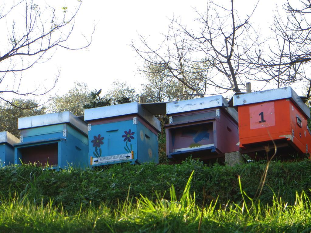 Agriturismo Terre Rosse Portofino Exterior foto