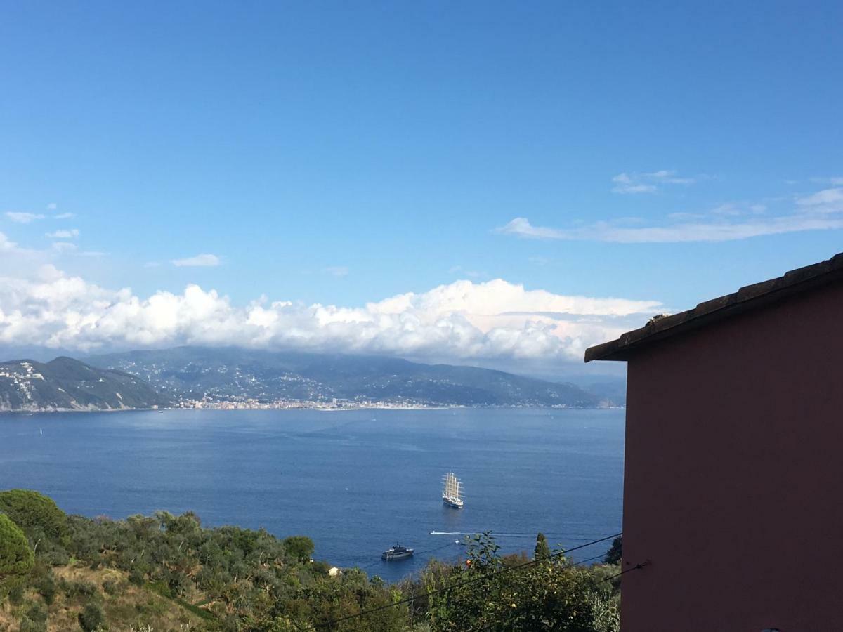 Agriturismo Terre Rosse Portofino Exterior foto
